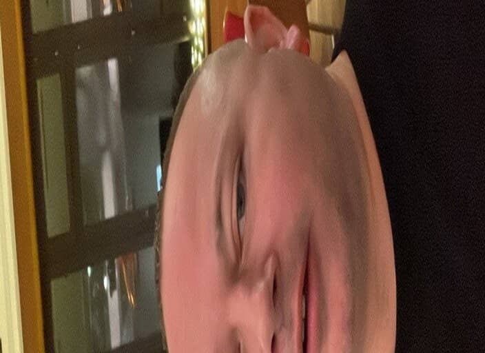 lebouf