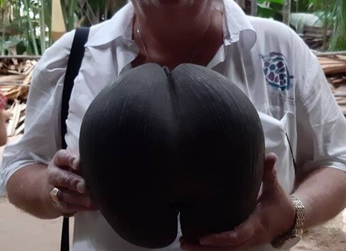 Pascaloudu70