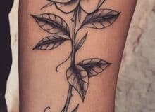 Photo de Severinedu59