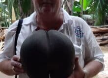 Photo de PASCALOUDU70