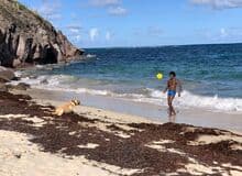 Photo de Sensuello972