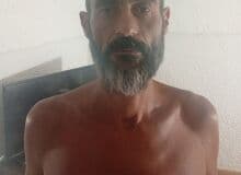 Photo de portuugaise