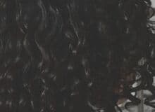 Photo de TheFreeSoul