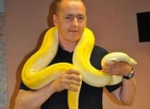 Photo de discezt62300