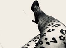 Photo de cataleyanory