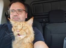 Photo de jojolabricot