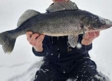 Photo de hugesurprise