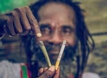 Photo de mathgroschibree20