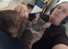 Photo de coquinouistres