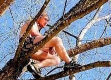 Photo de Haribatmeca