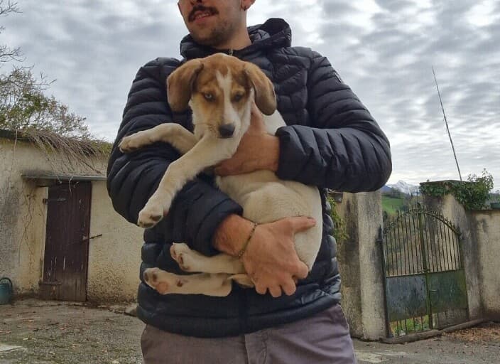 Photo de profil de ninine