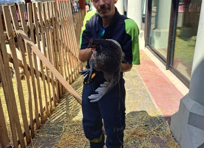 Photo de profil de bigoudi