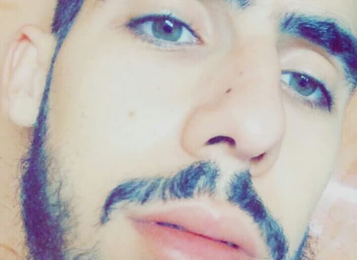 lobo