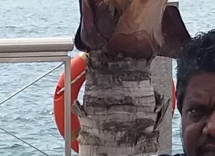 Photo de profil de nivekcool