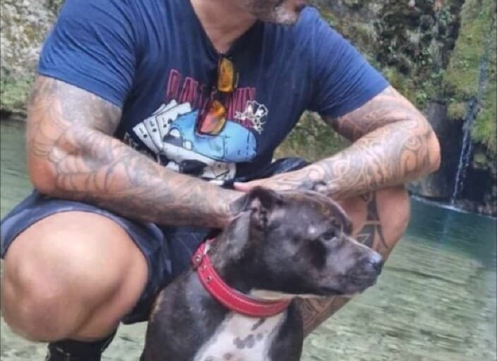 Photo de profil de davdu69