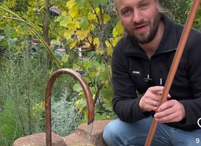 Photo de profil de Nestorinho