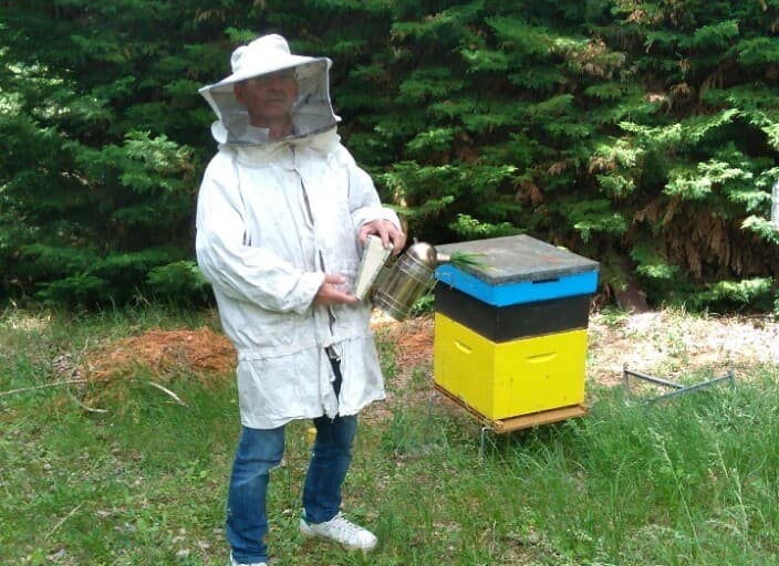 Photo de profil de chlorophylle