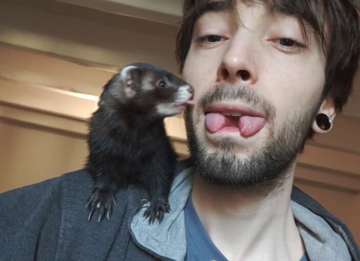 Photo de profil de Foxhyss