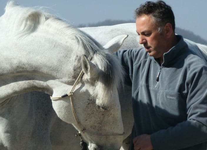 cavaliero56