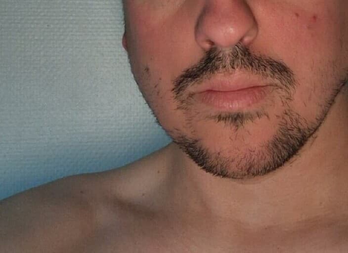 gevbert