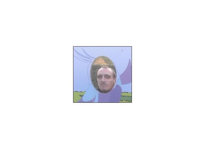 pitousax