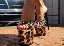 Photo de sitting-bull