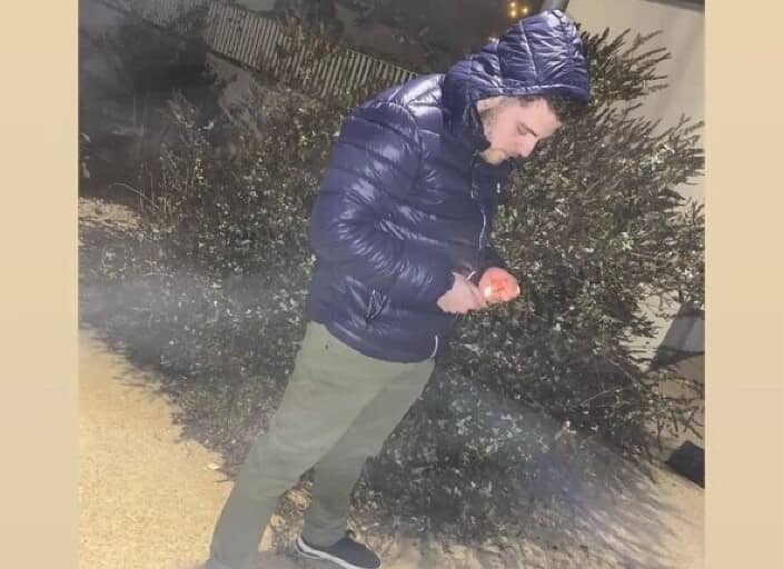 brandon84