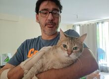yann86420