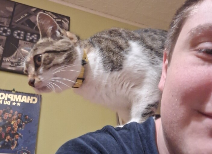 Recherche femme
